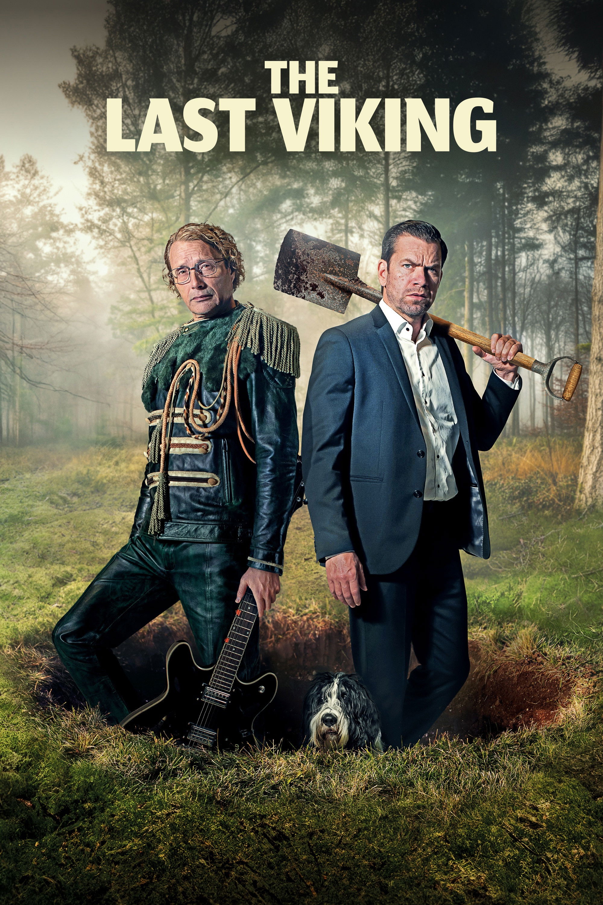 The Last Viking poster