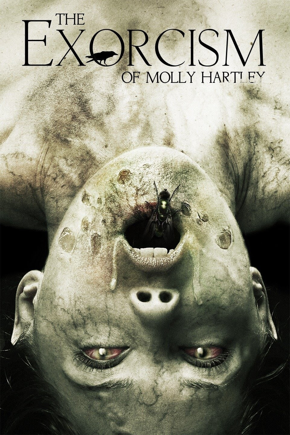The Exorcism of Molly Hartley cast and biography