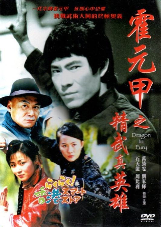 Dragon in Fury poster