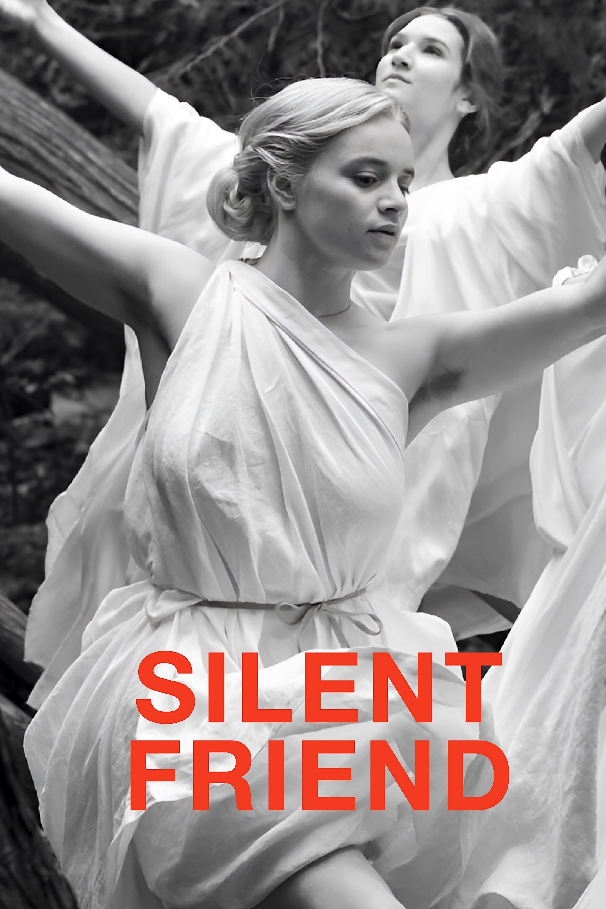 Silent Friend poster