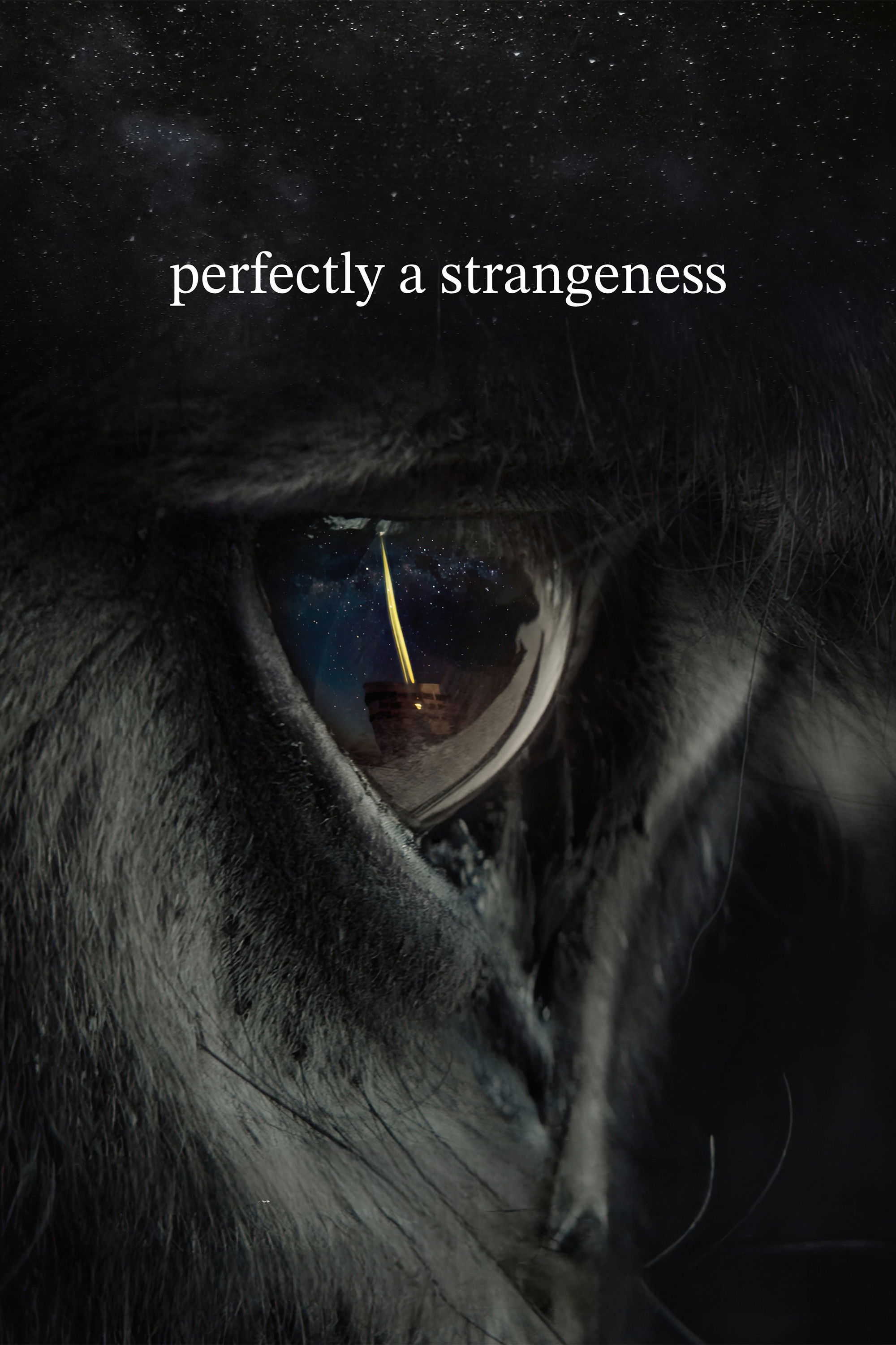 Perfectly a Strangeness poster