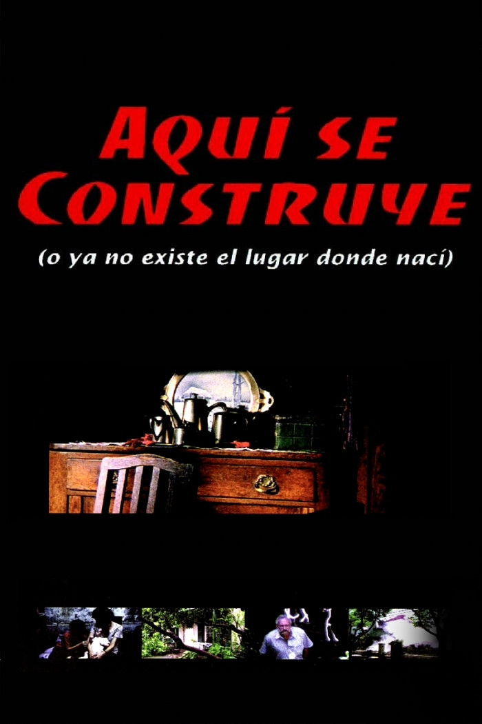 Under Construction (Or The Place Where I Was Born No Longer Exists) poster