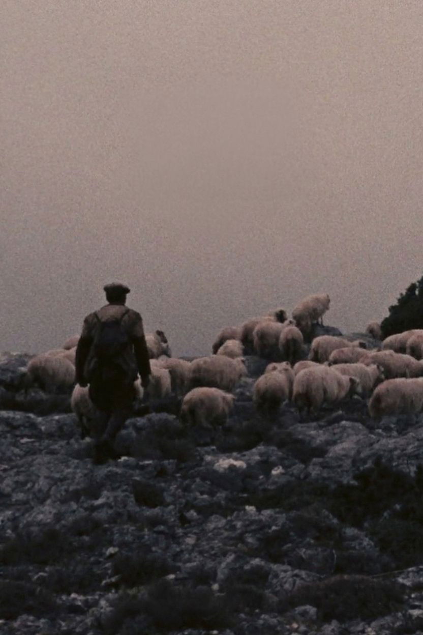 Orgosolo’s Shepherds poster