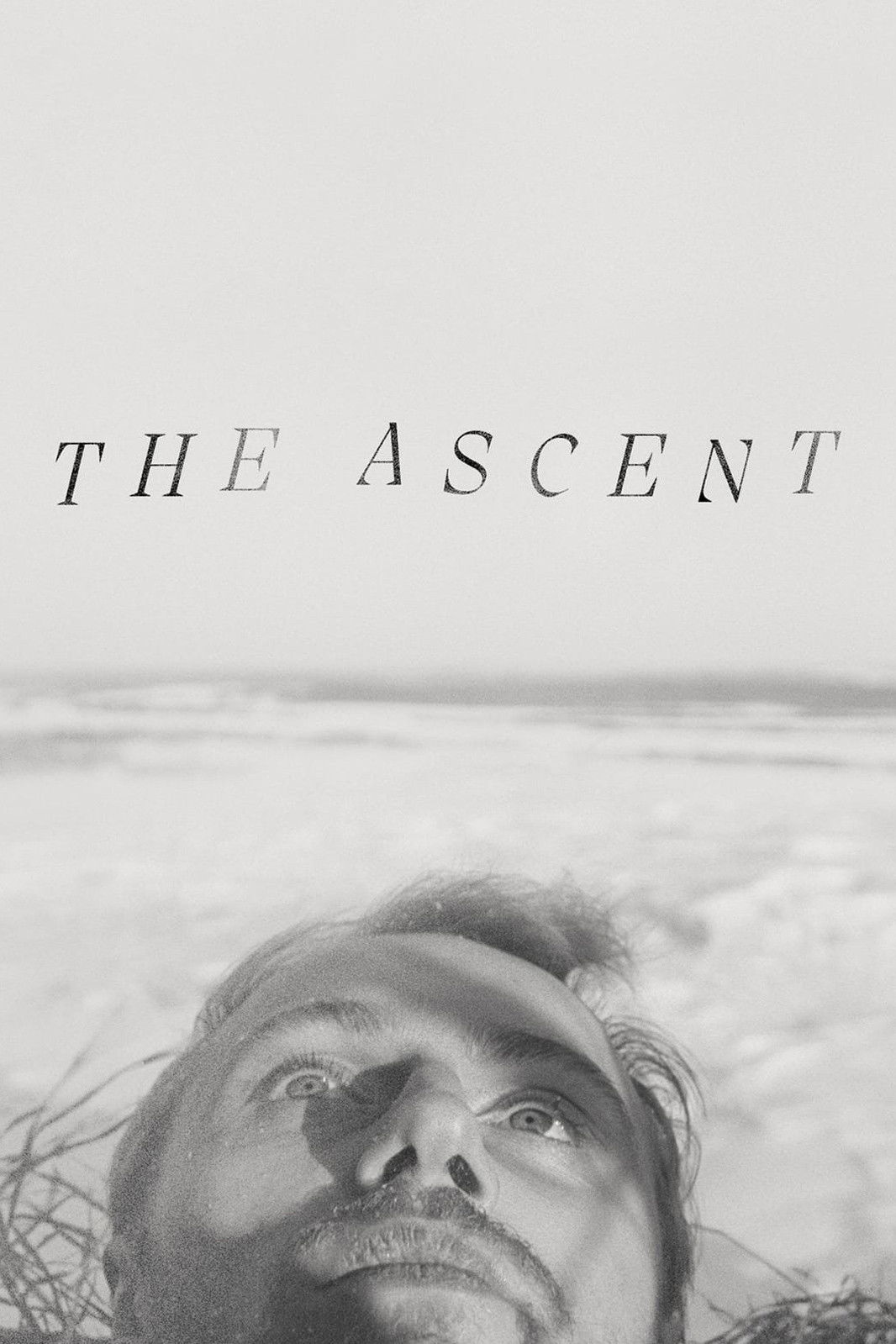 The Ascent cast and biography