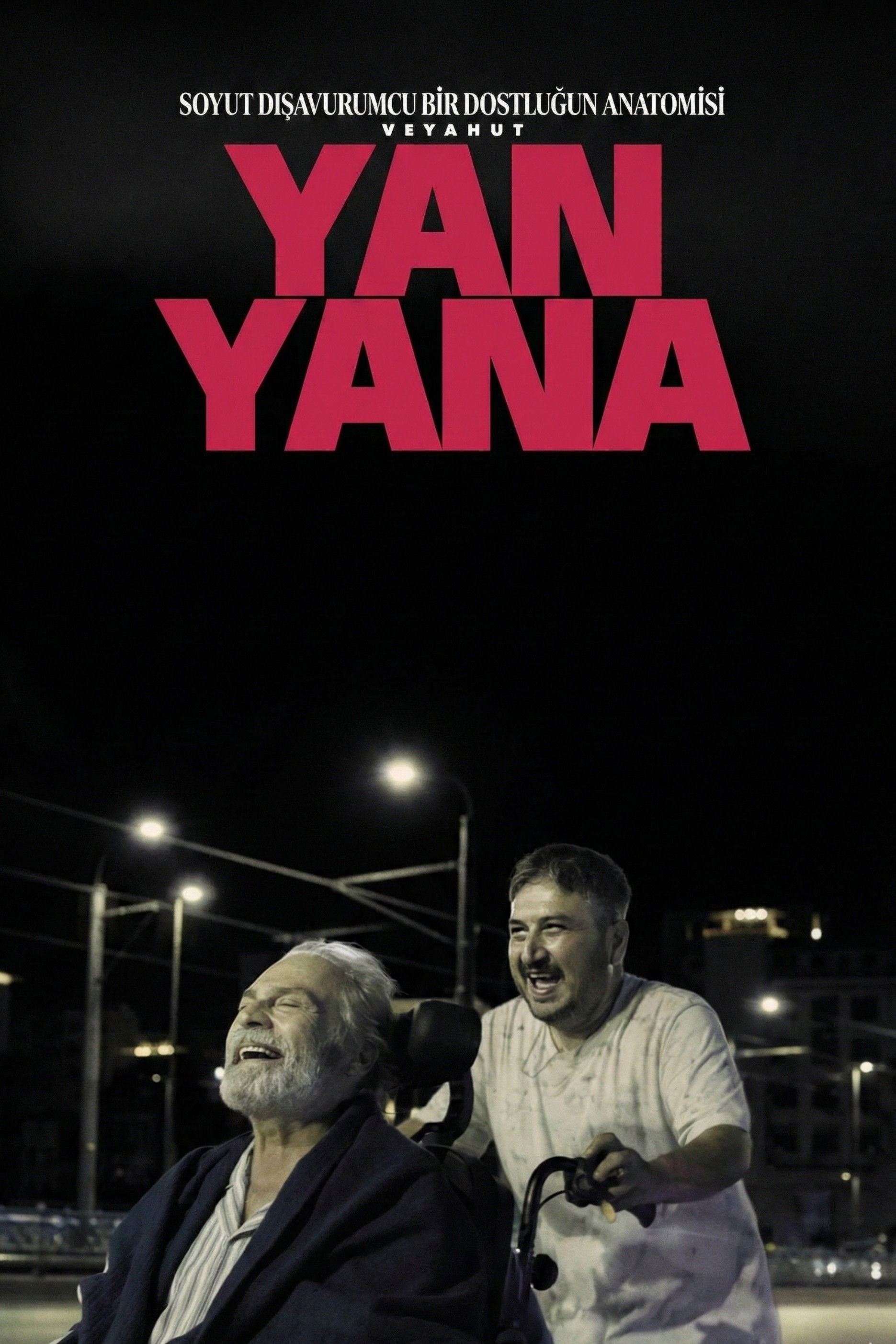 Soyut Dışavurumcu Bir Dostluğun Anatomisi Veyahut Yan Yana poster