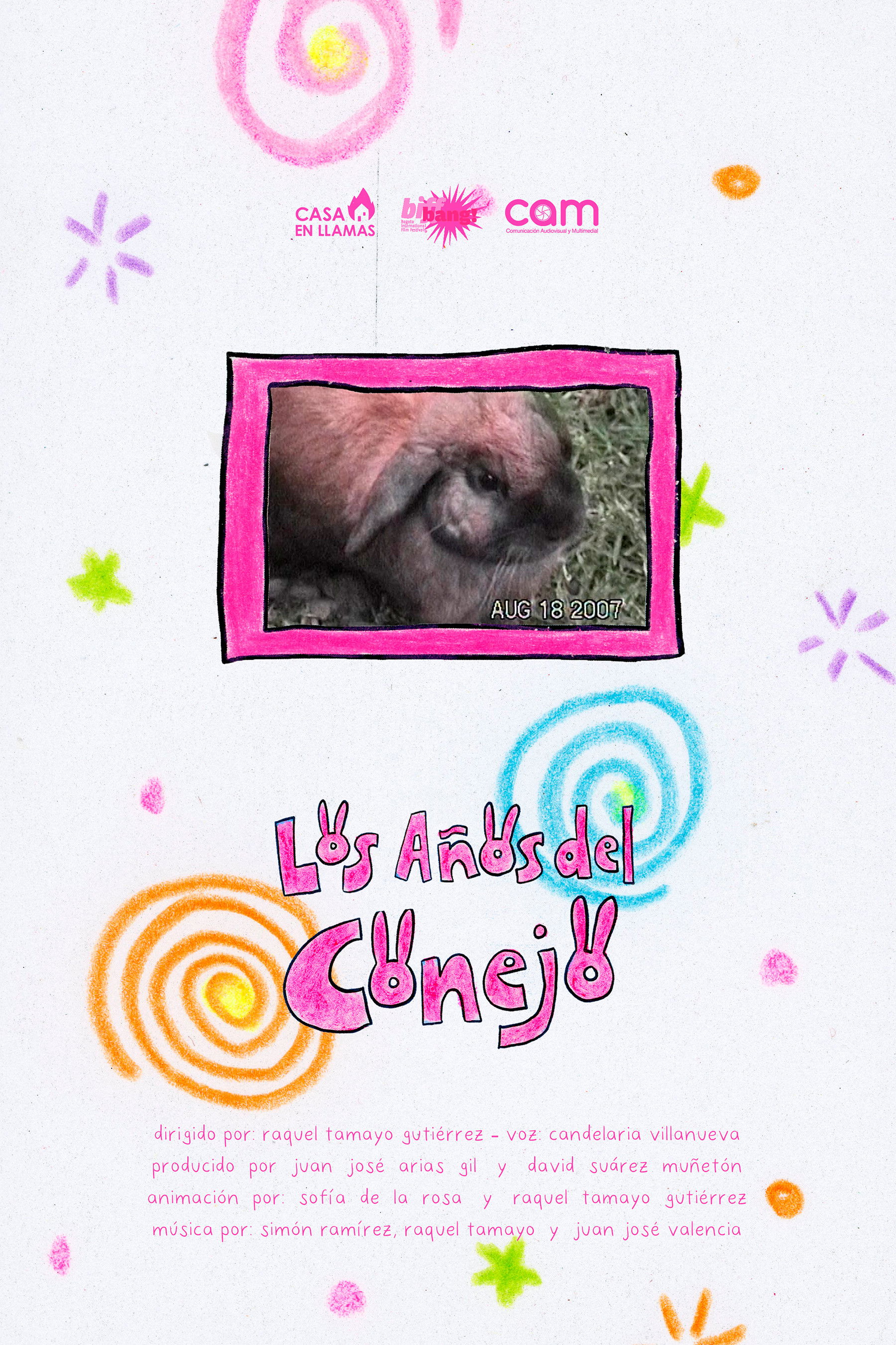 Los Años del Conejo poster