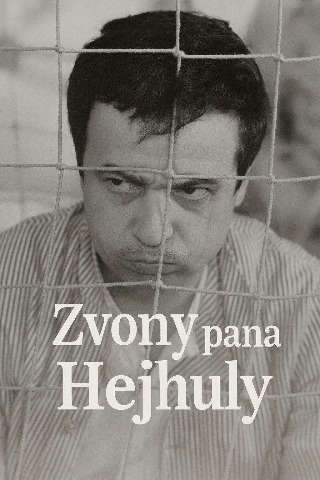 Zvony pana Hejhuly poster