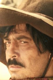 Luis Rodríguez biography, age and filmography