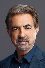 Joe Mantegna biography, age and filmography