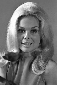 Lynn Borden