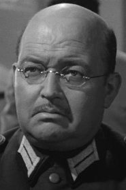 Richard Ryen biography, age and filmography