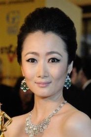 Zhao Tao biography, age and filmography