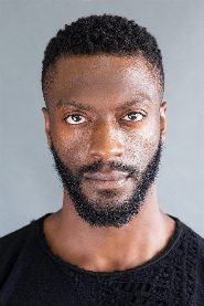 Aldis Hodge biography, age and filmography