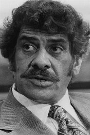 Al Lettieri biography, age and filmography