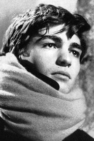Dino Mele biography, age and filmography