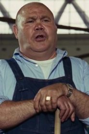 Veriano Ginesi biography, age and filmography