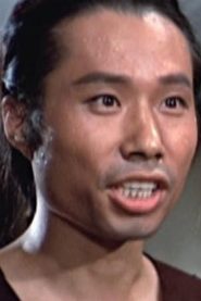Lei Lung biography, age and filmography