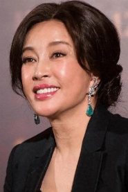 Liu Xiaoqing biography, age and filmography