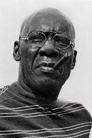 Julius Harris biography, age and filmography