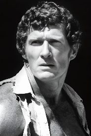 Brad Harris biography, age and filmography