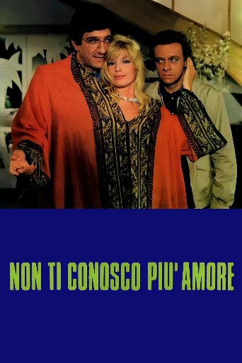 I Don't Understand You Anymore poster