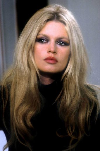 Brigitte Bardot: The Icon of France poster