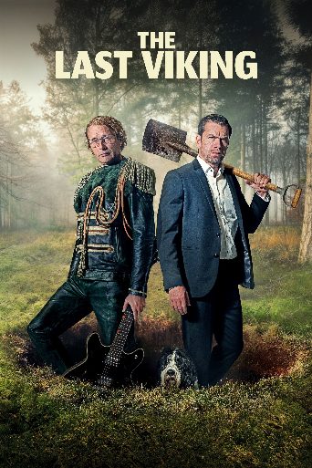 The Last Viking poster