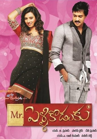 Mr.PelliKoduku poster