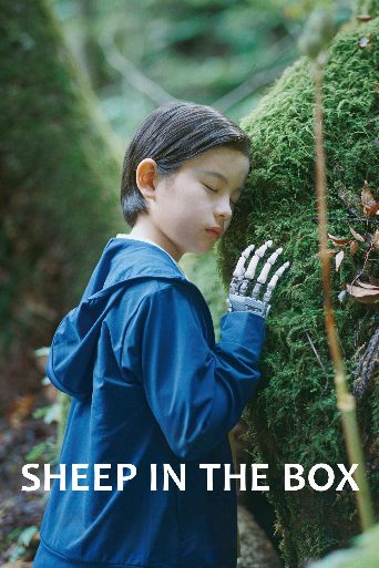 Sheep in the Box Biography and Movie Info