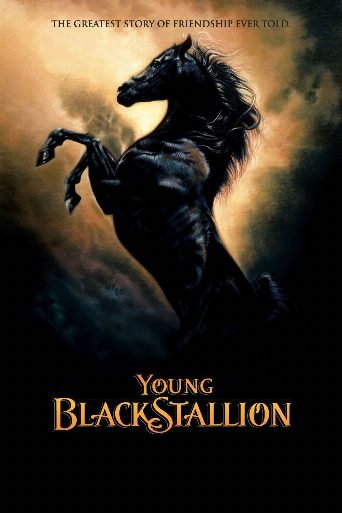 Young Black Stallion cast and biography