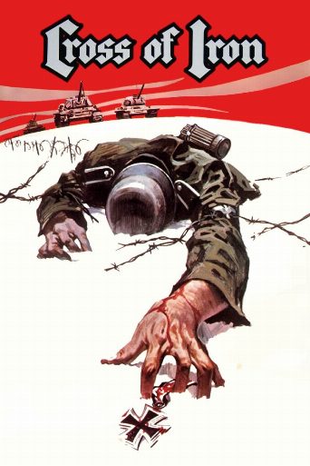 Cross of Iron cast and biography