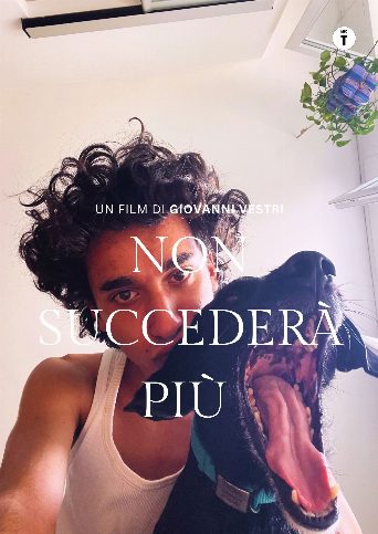 Non succederà più poster