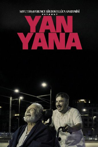 Soyut Dışavurumcu Bir Dostluğun Anatomisi Veyahut Yan Yana poster