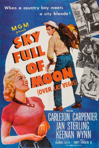 Sky Full of Moon poster