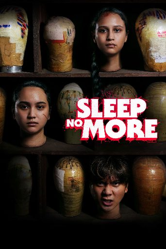 Sleep No More poster