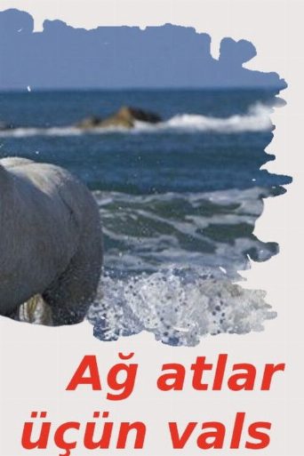 Waltz for White Horses poster