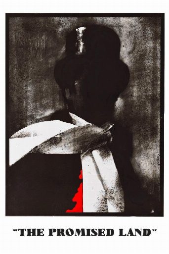 The Promised Land poster