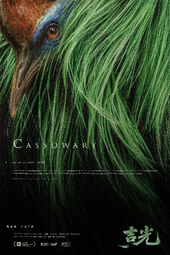 Cassowary poster