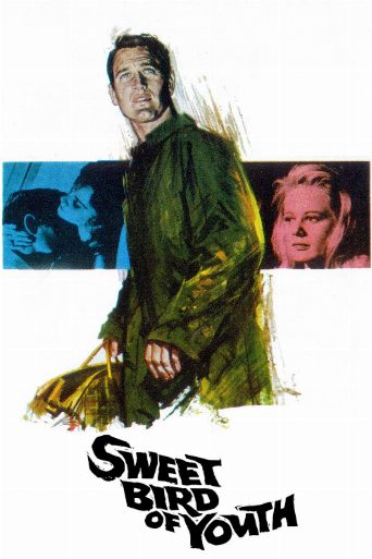 Sweet Bird of Youth cast and biography