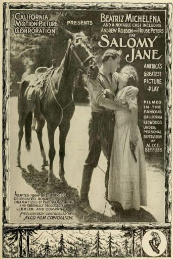 Salomy Jane poster