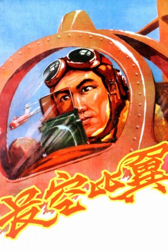Flying in the Sky poster