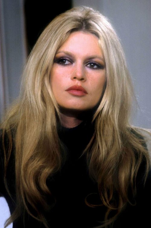 Brigitte Bardot: The Icon of France poster