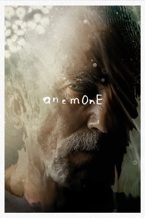 Anemone poster