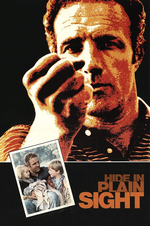Hide in Plain Sight poster