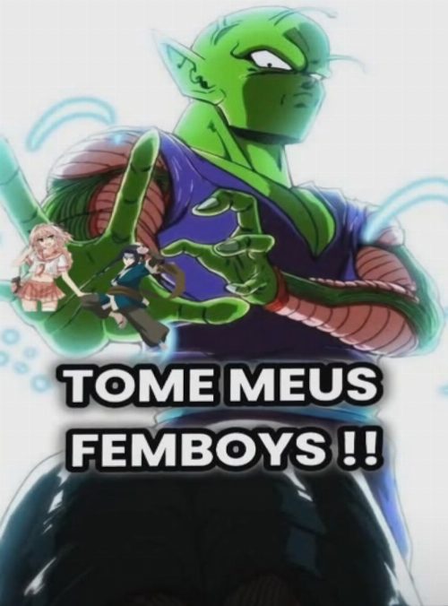 Piccolo vs 17 a luta de Femboys vs Tomboys poster