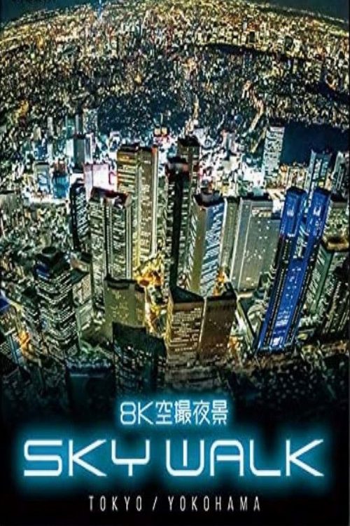 8K Aerial Night View:Sky Walk Tokyo and Yokohama poster