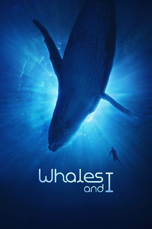 Whales and I poster