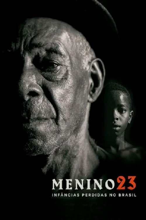 Boy 23: The Forgotten Boys of Brazil poster