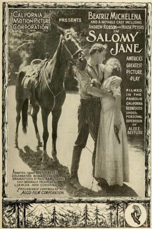 Salomy Jane poster