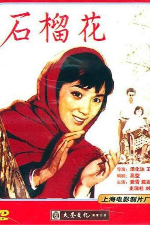 Shi liu hua poster